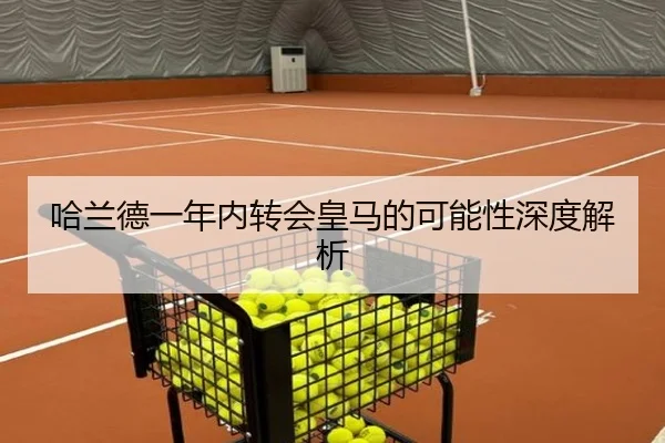 哈兰德一年内转会皇马的可能性深度解析